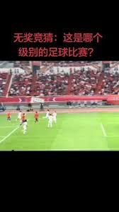 瓦尔迪谈意甲与英超节奏差异
